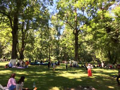 21. Geleneksel Gölyaka Kültür ve Turizm Festivali 